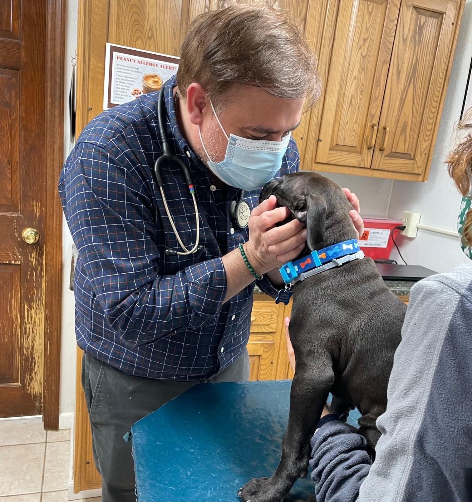 The Importance of Preventive Care, All Creatures Great and Small Animal Hospital