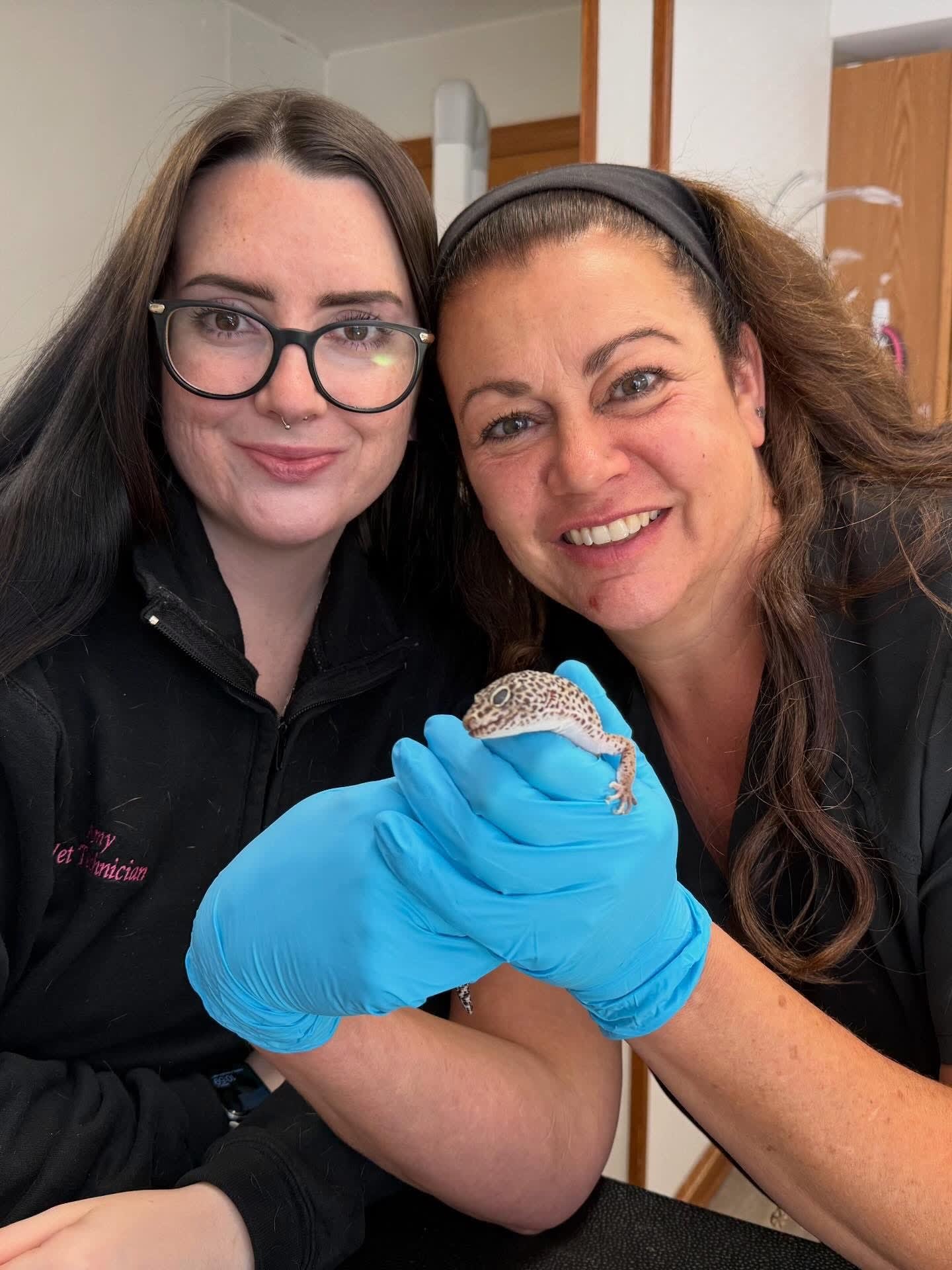 Avian & Exotic Pet Services, Fairfield, NJ Veterinarians